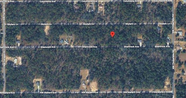 Lot 47 Shamrock Avenue, Other, FL 34431