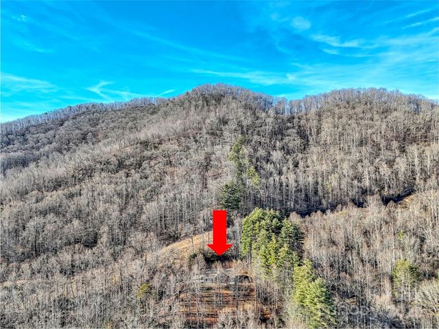 166 Amaroo Ridge 5,6, Webster, NC 28788