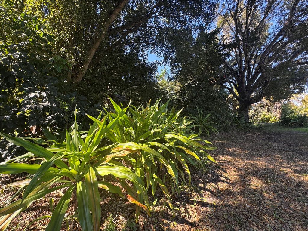 5911 SW 196th Lane, Southwest Ranches, FL 33332