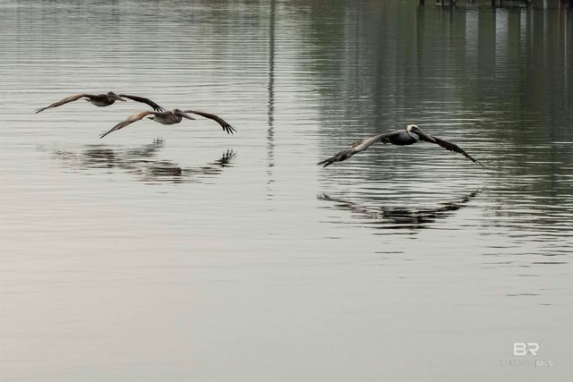 14335 Riverside Drive, Foley, AL 36535