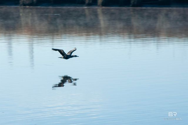 14335 Riverside Drive, Foley, AL 36535