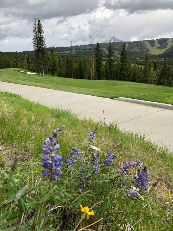 TBD Bitterbrush Trail, Big Sky, MT 59716 photo 24