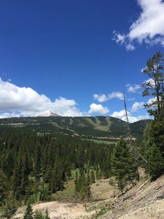 TBD Bitterbrush Trail, Big Sky, MT 59716 photo 25
