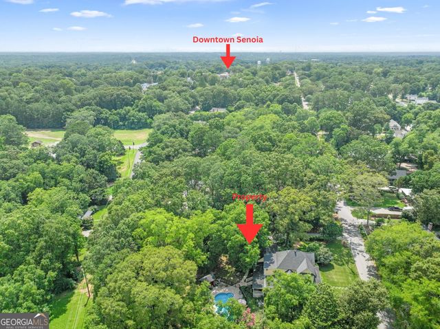 319 Johnson Street, Senoia, GA 30276