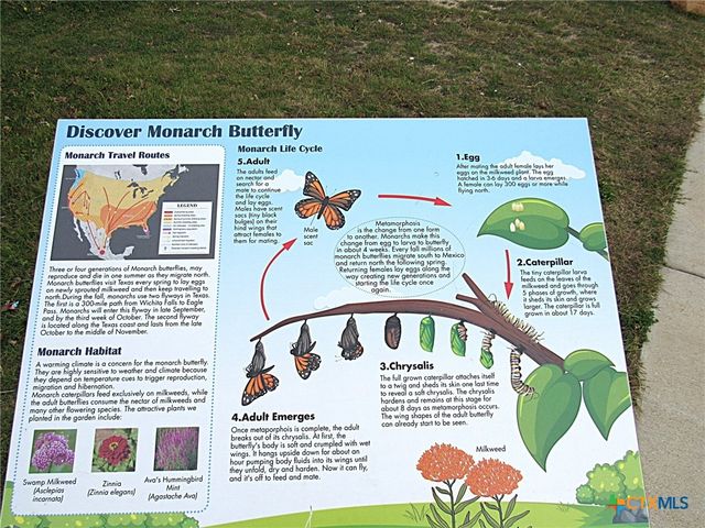 301 Dober Street, Nolanville, TX 76559