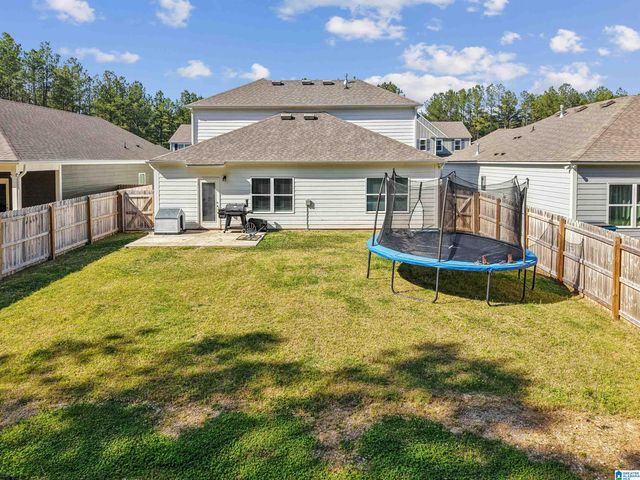 10005 CHELSEA PARK TRAIL, Chelsea, AL 35043