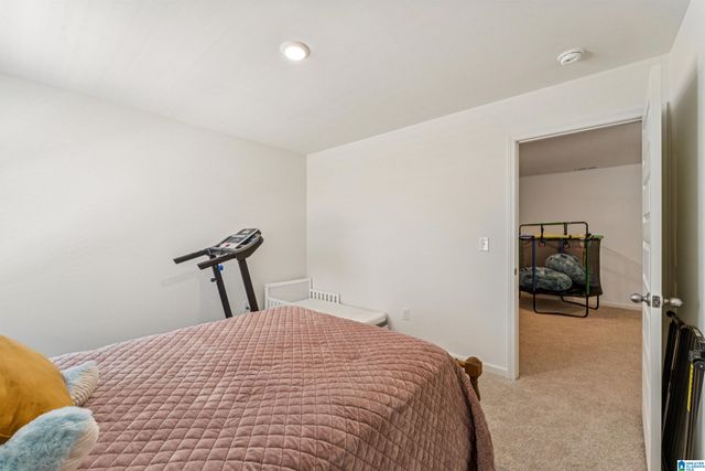 10005 CHELSEA PARK TRAIL, Chelsea, AL 35043