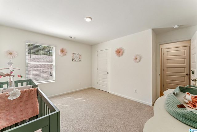 10005 CHELSEA PARK TRAIL, Chelsea, AL 35043