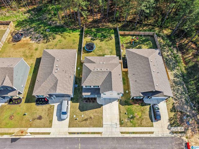 10005 CHELSEA PARK TRAIL, Chelsea, AL 35043