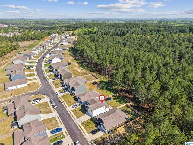 10005 CHELSEA PARK TRAIL, Chelsea, AL 35043