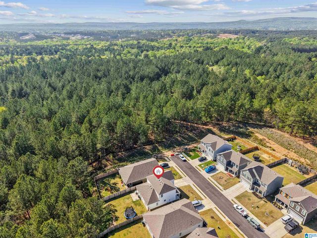 10005 CHELSEA PARK TRAIL, Chelsea, AL 35043