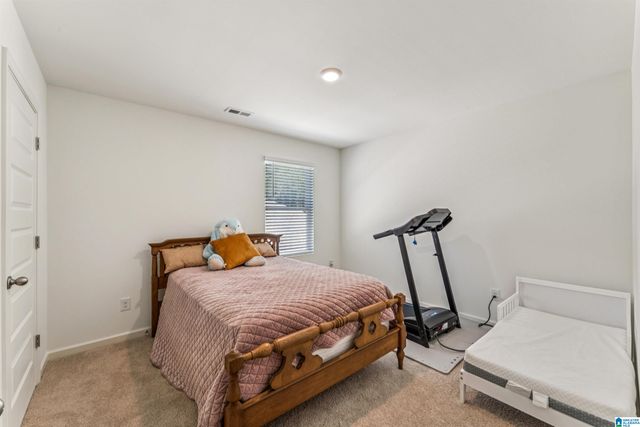 10005 CHELSEA PARK TRAIL, Chelsea, AL 35043