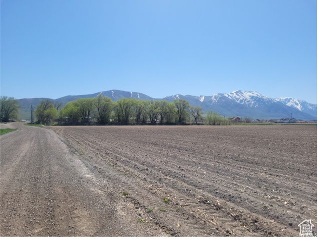 4770 W 13600 N, Garland, UT 84312