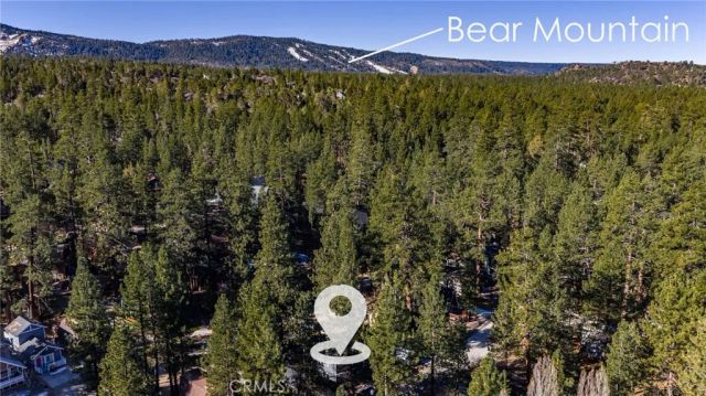 314 W Aeroplane, Big Bear City, CA 92314