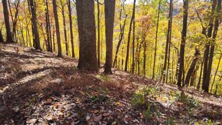 0 Savannah Dr, Smithville, TN 37166