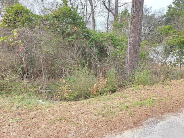 0 Mitten Road, Moncks Corner, SC 29461