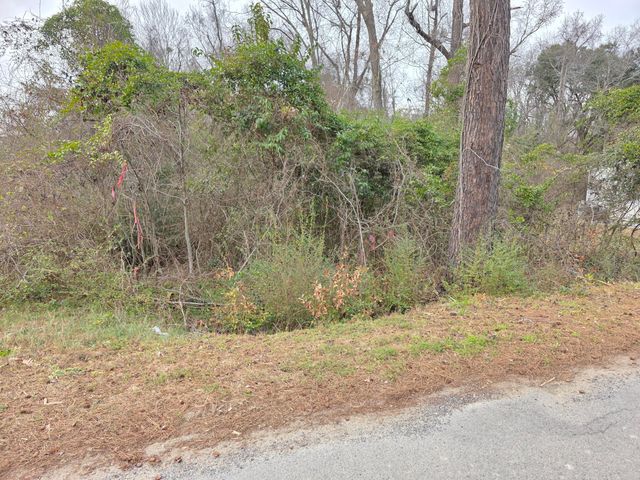 0 Mitten Road, Moncks Corner, SC 29461