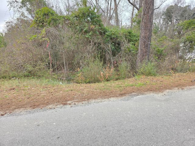 0 Mitten Road, Moncks Corner, SC 29461