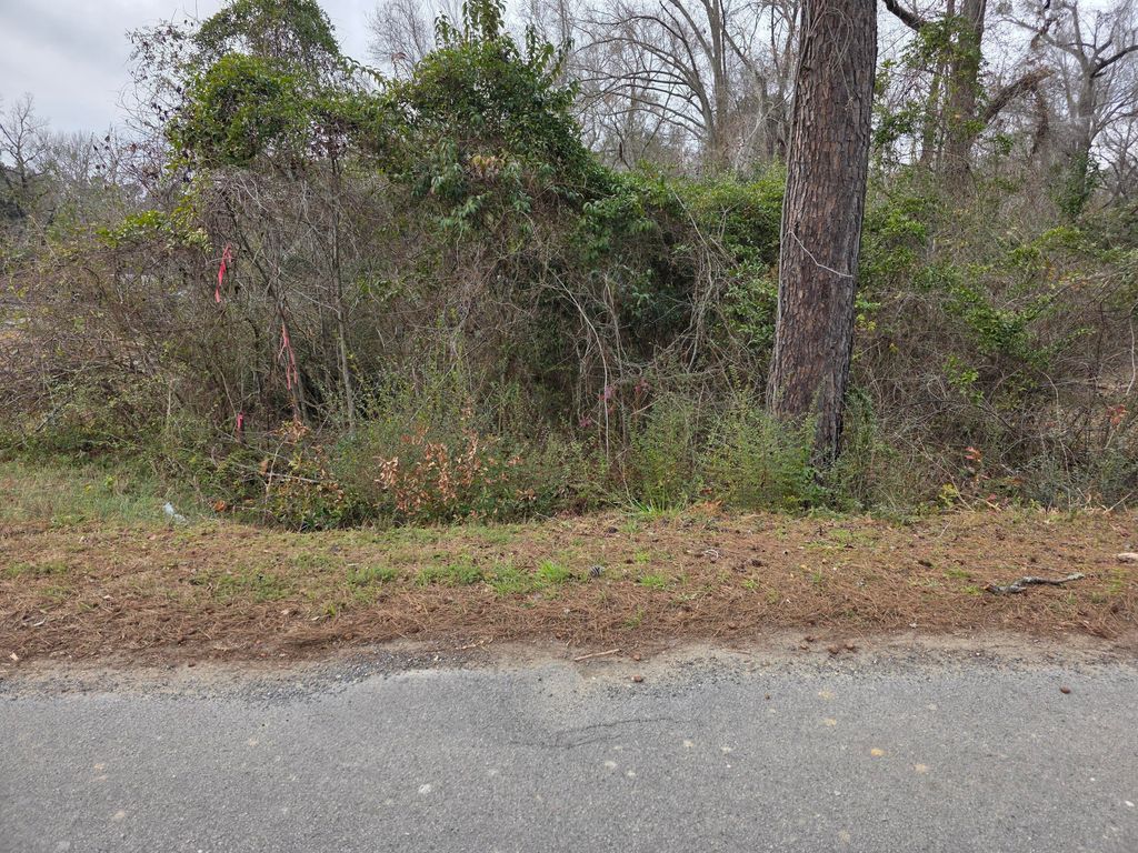 0 Mitten Road, Moncks Corner, SC 29461