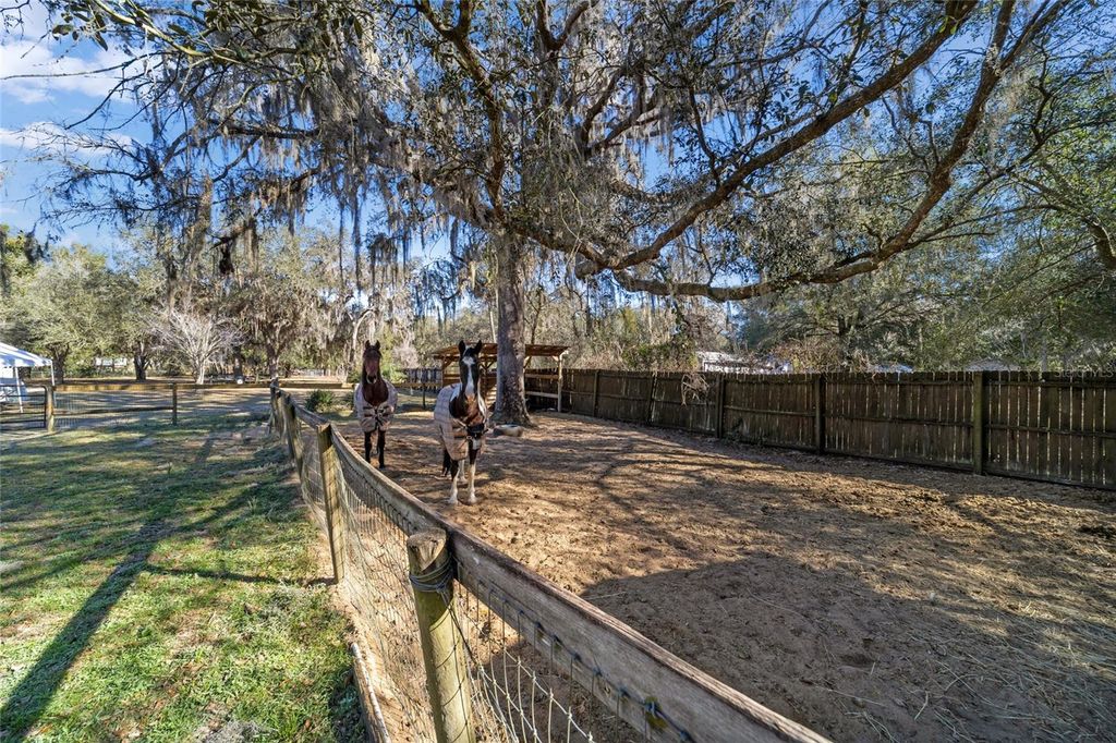 Image 52 of property listing at 1572 N HIGHWAY 314A, Silver Springs, FL 34488