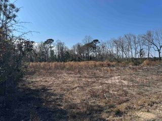 5.77 Acres Three Curve Rd., Loris, SC 29569
