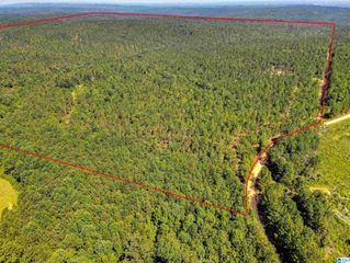 0 COUNTY ROAD 465, Clanton, AL 35045