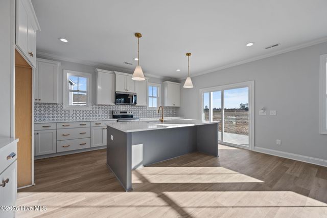 801 Tupelo Tree Drive, Hubert, NC 28539