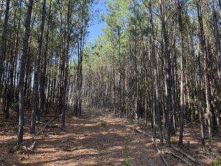 3415 Waynesboro Hwy, Hohenwald, TN 38462