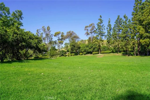 17 Rippling Stream, Irvine, CA 92603