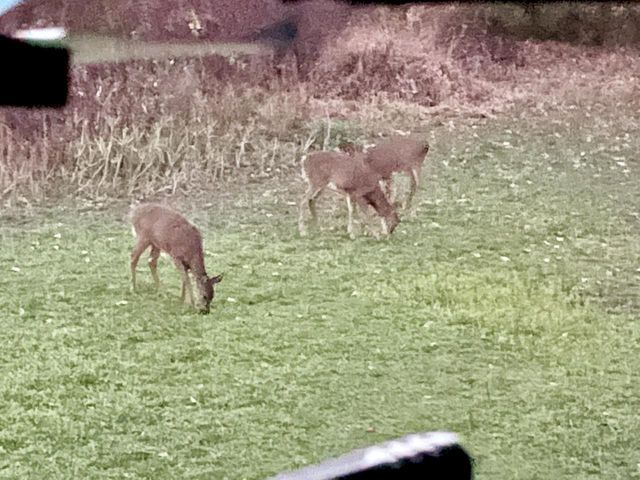 311 S Lapham Peak ROAD, Delafield, WI 53018