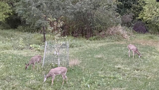 311 S Lapham Peak ROAD, Delafield, WI 53018