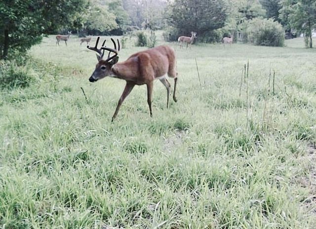 311 S Lapham Peak ROAD, Delafield, WI 53018