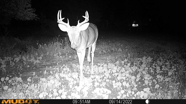 311 S Lapham Peak ROAD, Delafield, WI 53018