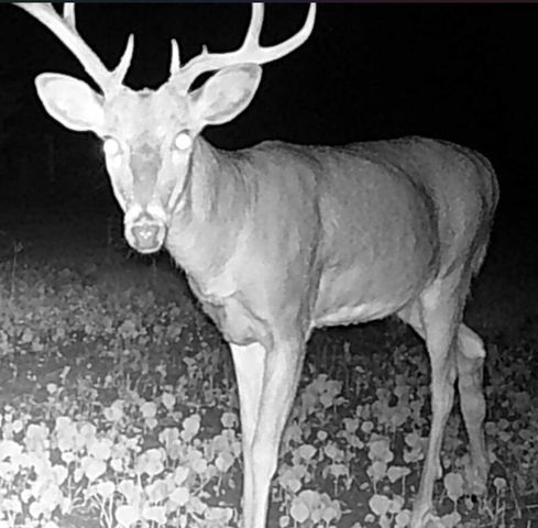 311 S Lapham Peak ROAD, Delafield, WI 53018