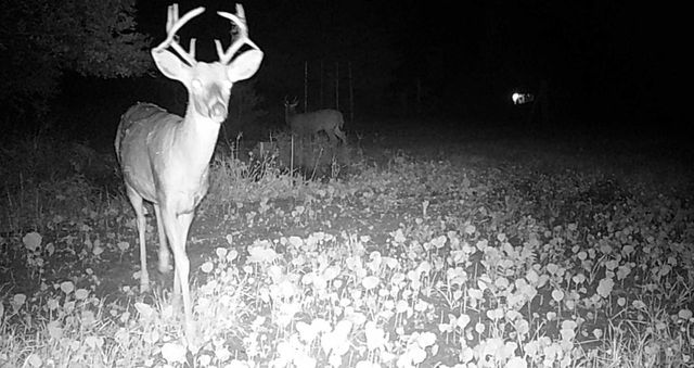 311 S Lapham Peak ROAD, Delafield, WI 53018