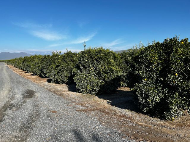 W Cajon Avenue, Woodlake, CA 93286