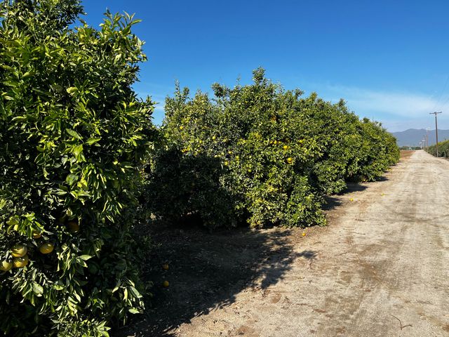 W Cajon Avenue, Woodlake, CA 93286