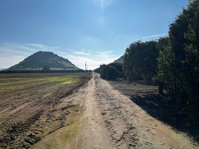 W Cajon Avenue, Woodlake, CA 93286