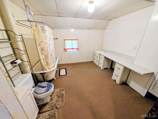 230 Diamond Street, Iron River, MI 49935