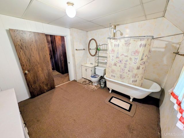 230 Diamond Street, Iron River, MI 49935