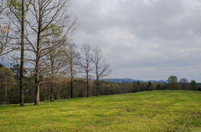 665 Highway 246, Umpire, AR 71971