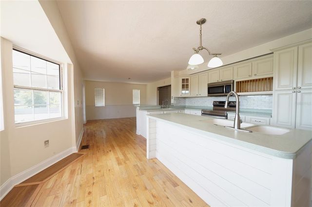 219 GALAXY AVENUE, Spring Hill, FL 34606