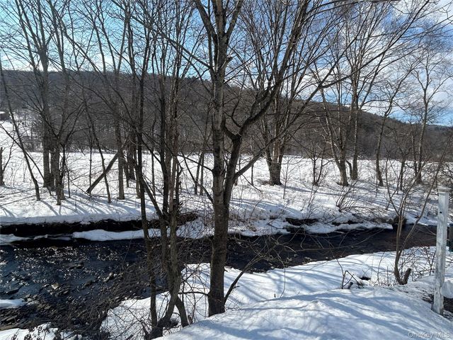 290 Gulf Road, Roscoe, NY 12776