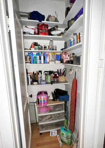 4207 N Drake Avenue, Chicago, IL 60618