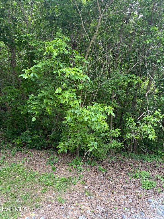 Tbd Neth Drive, Johnson City, TN 37601
