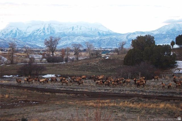 470 S LINDSAY SPRING RD, Heber City, UT 84032