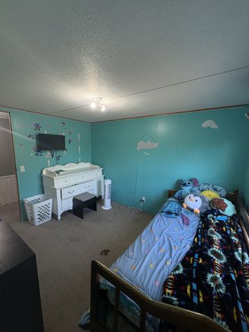 176 County Road 1436, Morgan, TX 76671