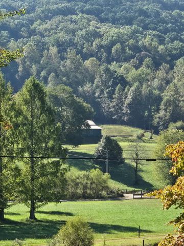 3426 Old Hwy 64 W, Warne, NC 28909