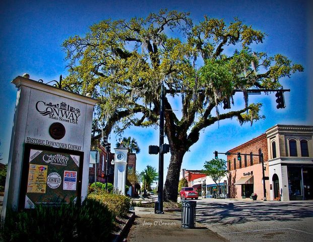 1017 Clamour Ct., Conway, SC 29526