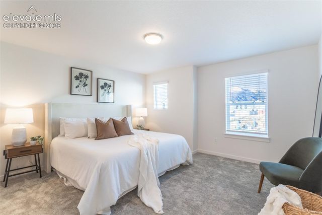 3372 Bivy Point, Colorado Springs, CO 80907